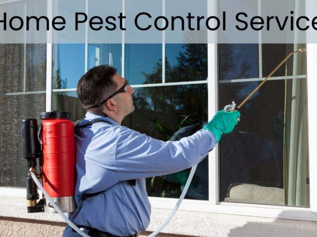 Home Pest Control Service: Key Pest Control Laws in New York