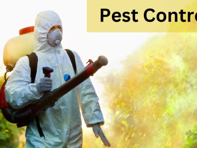 Best Pest Control: Oregon’s Food Cart Impact on Pests