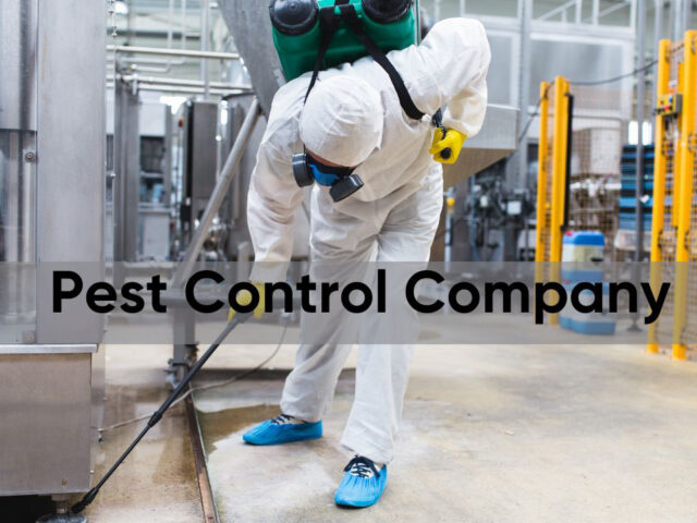 Pest Control Companies Near Me: Avoid Pest-Attracting Mistakes