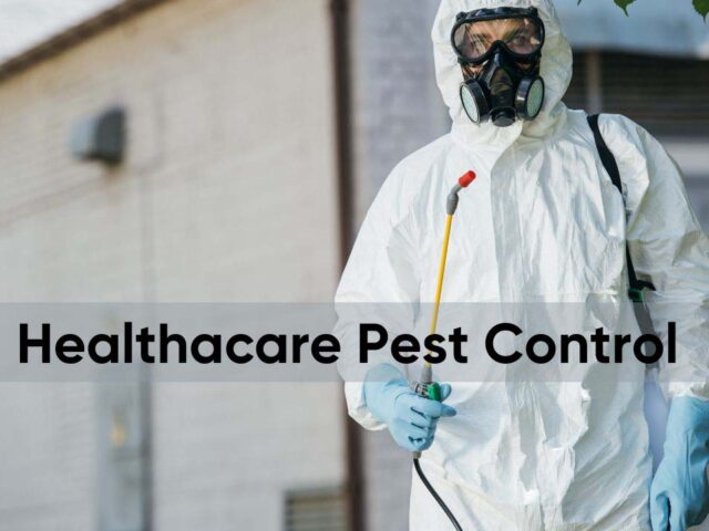 Largest Pest Control: A Must for Healthcare Facilities