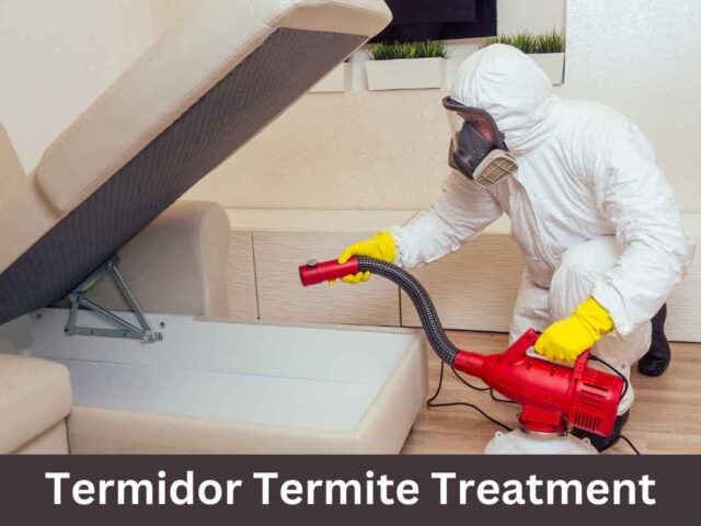 Termidor Termite Treatment: The Defense for Massachusetts