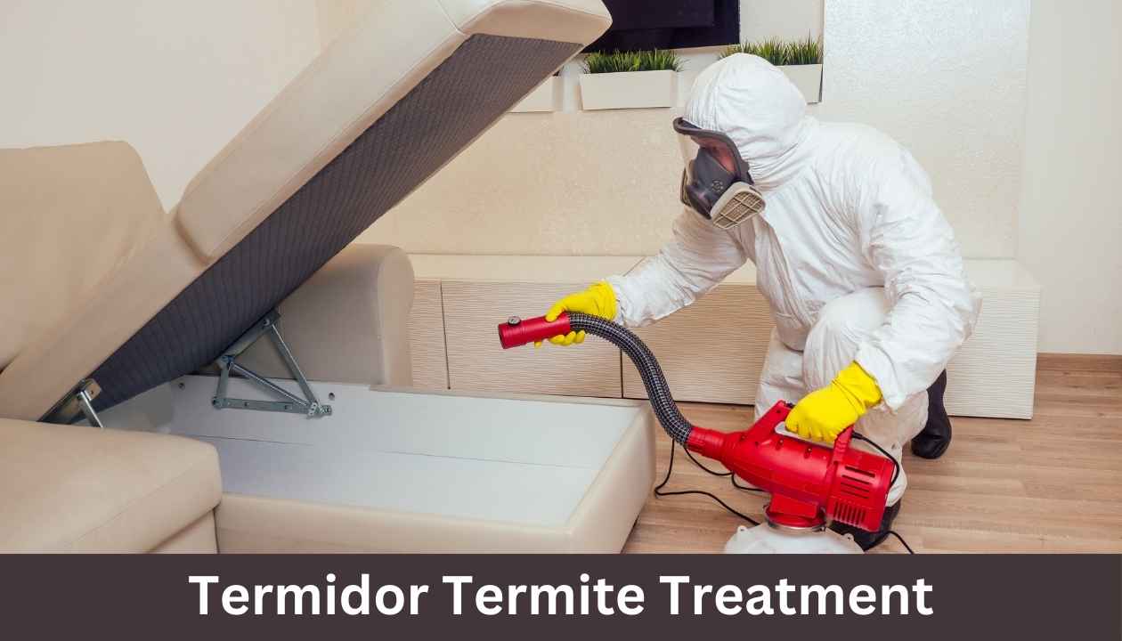 Termidor-Termite-Treatment