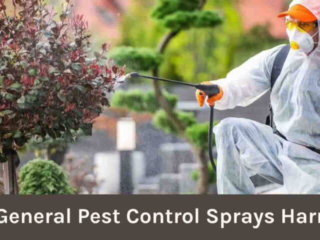 Are General Pest Control Sprays Harmful? A Deeper Look