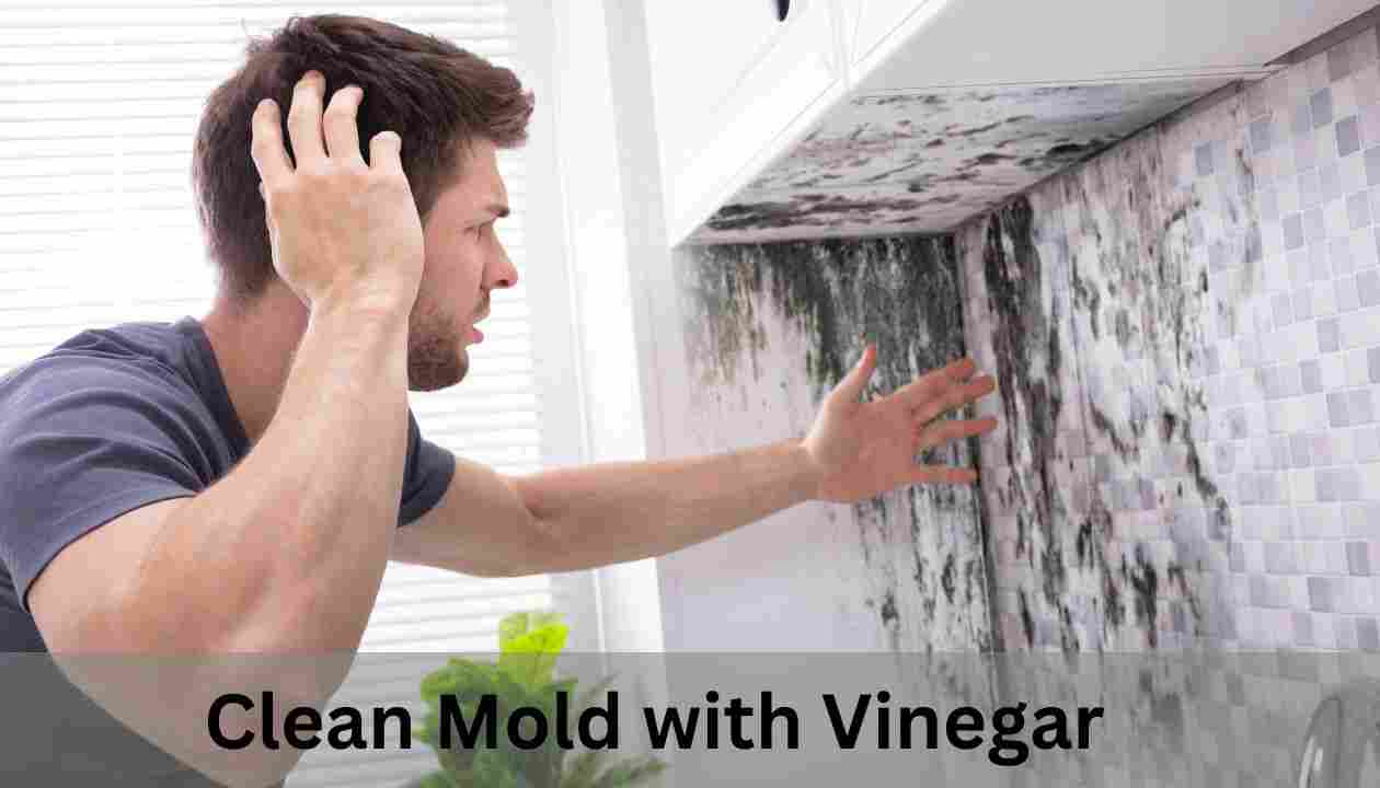 Clean Mold with Vinegar