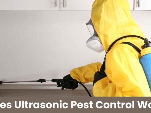 Do Ultrasonic Pest Control Devices Really Work?