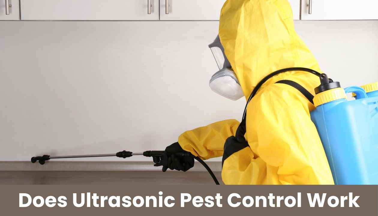 Does-Ultrasonic-Pest-Control-Work