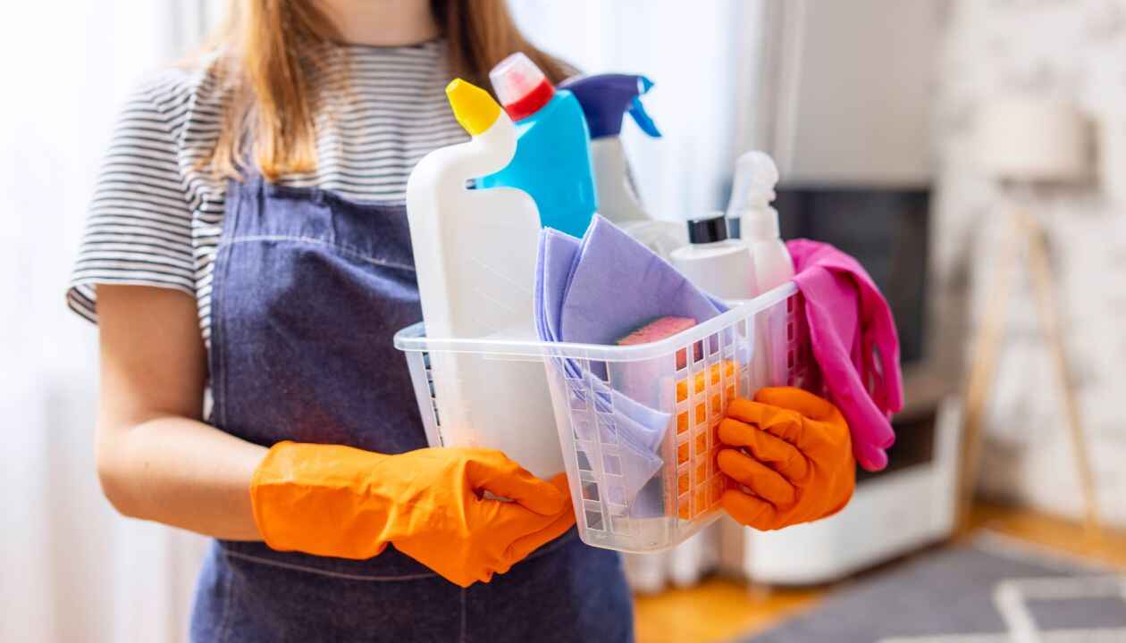 House Cleaning Services