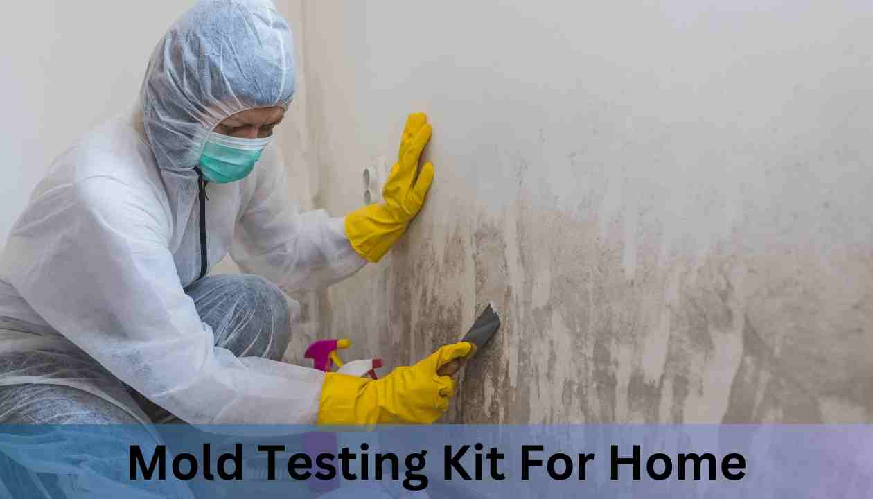 Mold Testing Kit For Home