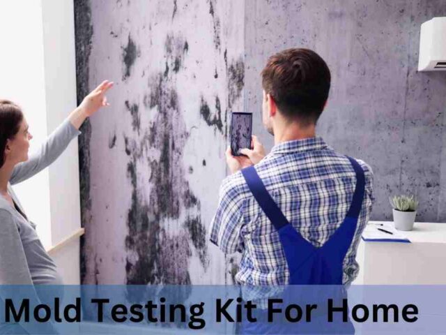 Mold Testing Kit for Home: Detect and Address Mold Problems