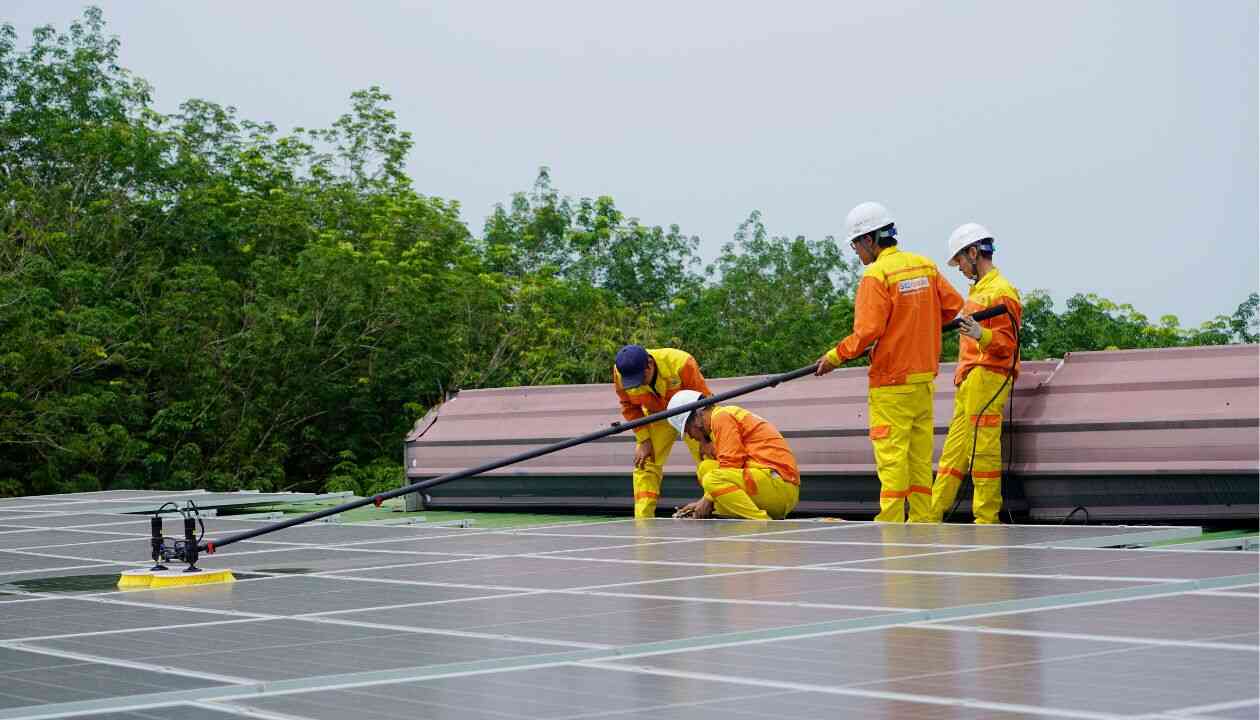 Solar Panel Cleaning