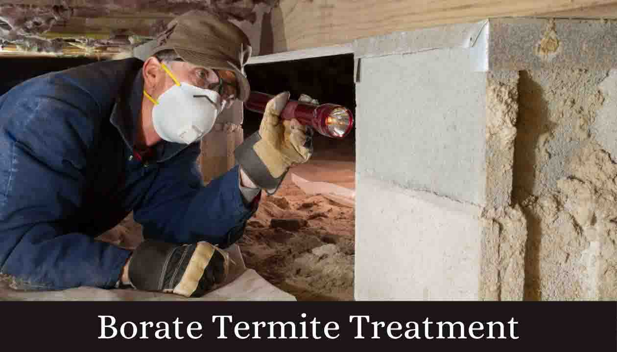 Borate-Termite-Treatment