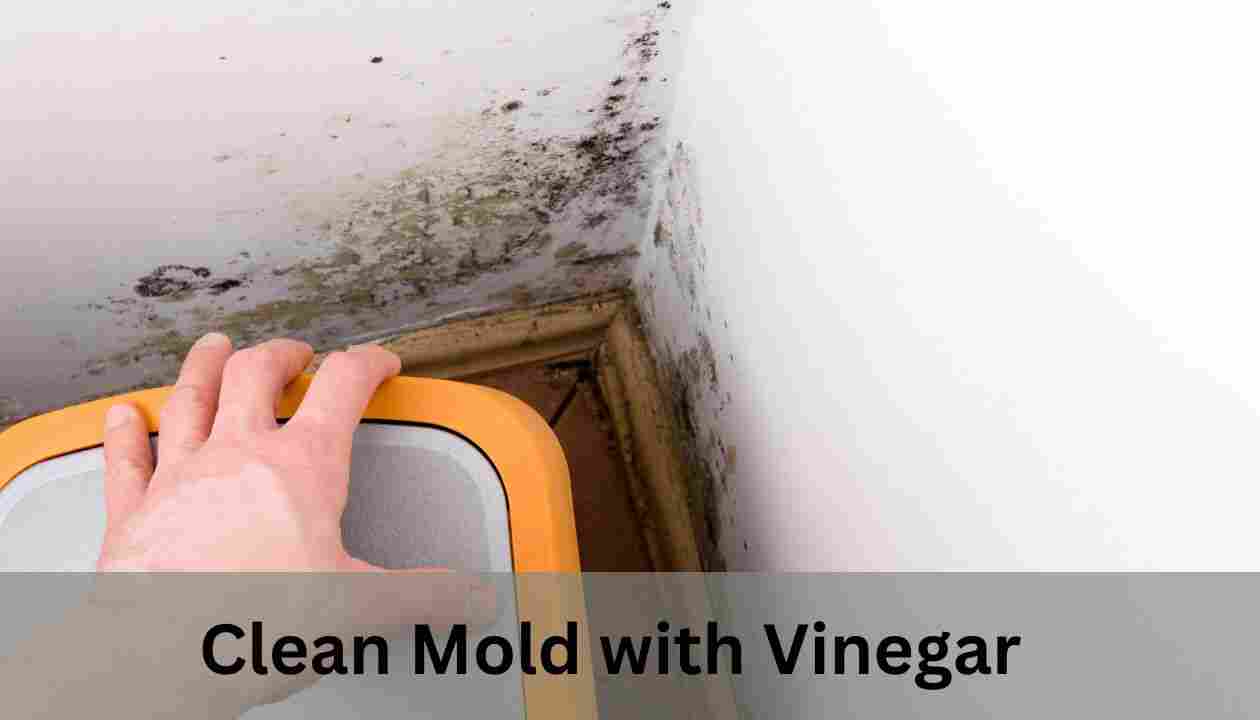 Clean-Mold-with-Vinegar-