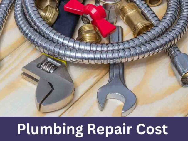 Plumbing Repair Cost: What to Expect