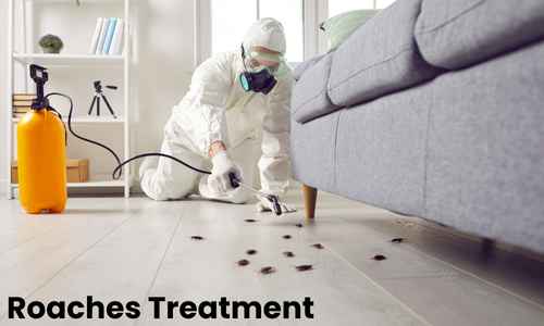 Roaches-Treatment