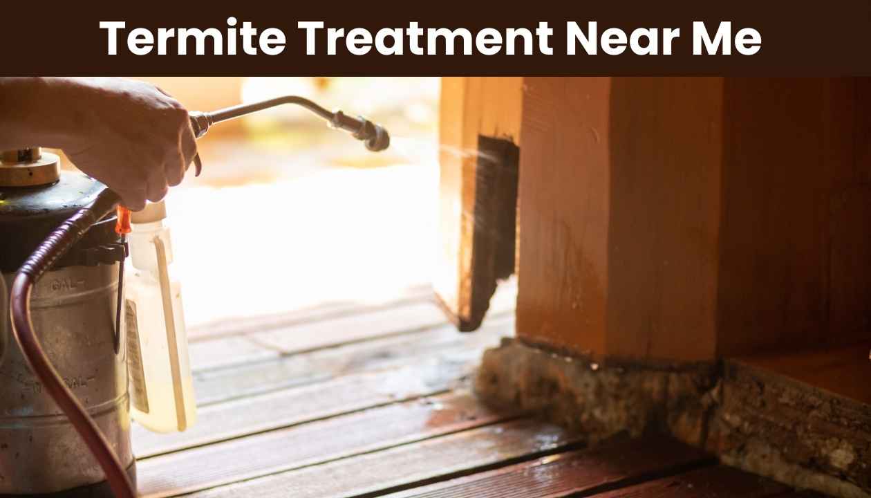 Termite-Treatment-Near-Me