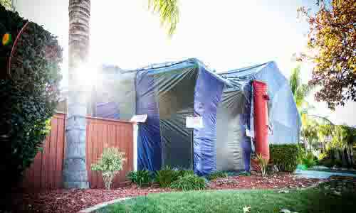 tenting-for-termites