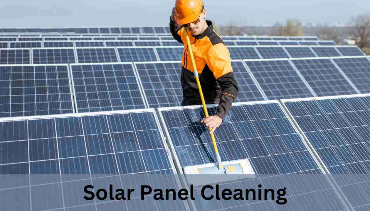 Solar Panel Cleaning