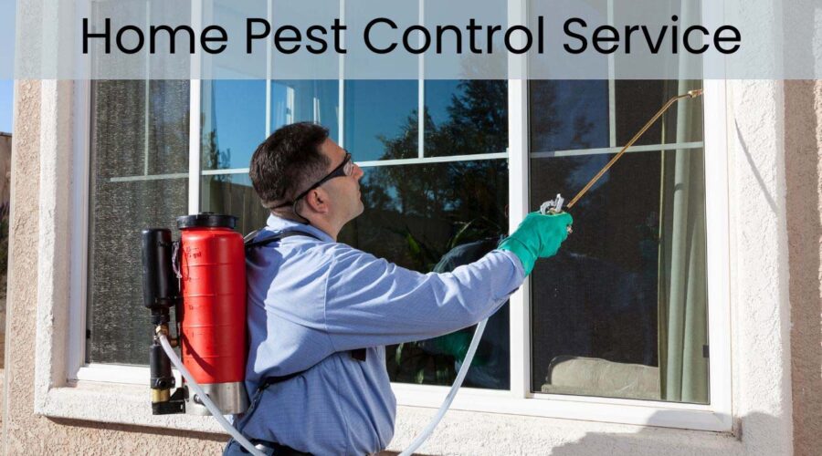 Home Pest Control Service: Key Pest Control Laws in New York