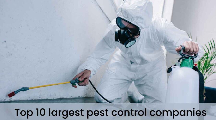 Top 10 Largest Pest Control Companies of United States