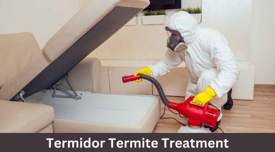 Termidor Termite Treatment: The Defense for Massachusetts