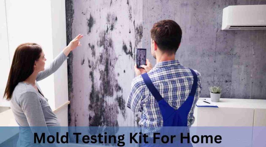Mold Testing Kit for Home: Step to a Cleaner Environment