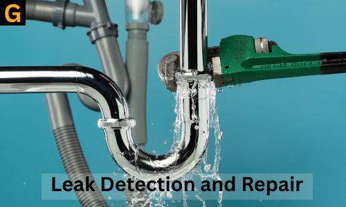 Leak-detection-and-repair